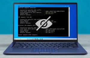 How to Hide Your IP (Free and Paid Ways)